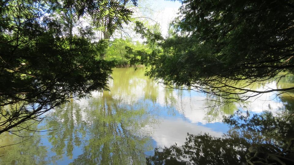  Cedarwood Drive, Lachine, MI 49753 photo 1