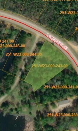 15248 Lakeview Dr, Wolverine, MI 49799 photo 5