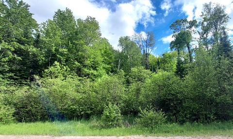 15248 Lakeview Dr, Wolverine, MI 49799 photo 6