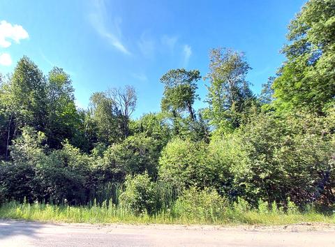 15248 Lakeview Dr, Wolverine, MI 49799 photo 7