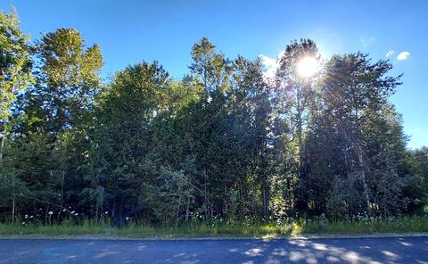 15248 Lakeview Dr, Wolverine, MI 49799 photo 3