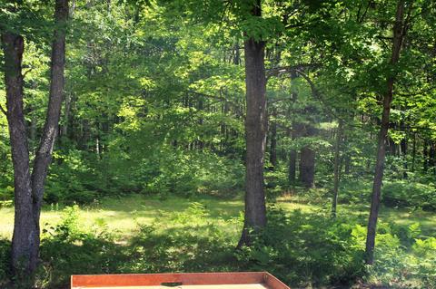 1351 Marlette Rd, Frederic, MI 49733 photo 16