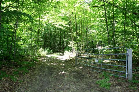 8484 Deer Trl, Frederic, MI 49733 photo 38