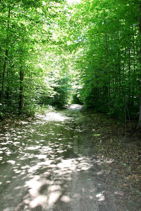 8484 Deer Trl, Frederic, MI 49733 photo 37