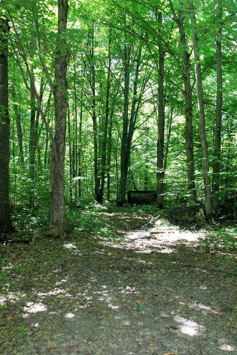 8484 Deer Trl, Frederic, MI 49733 photo 36