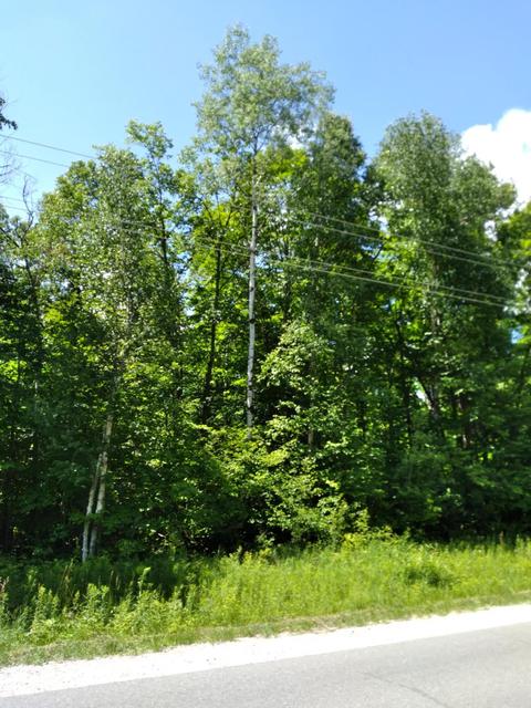 527 Pineview Drive #LOT 527, Mancelona, MI 49659