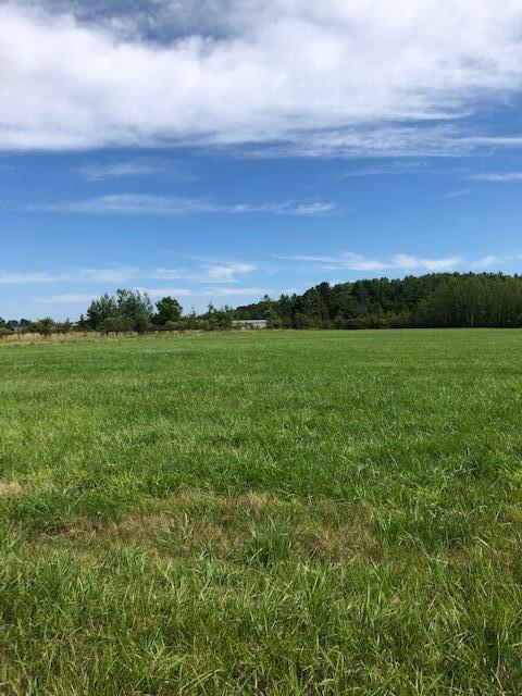 00 Townline Road Parcel A Cheboygan Mi 49721 Rd #PARCEL A, Cheboygan, MI 49721