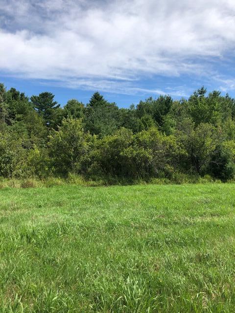 00 Townline Road Parcel B Cheboygan Mi 49721 Rd #PARCEL B, Cheboygan, MI 49721