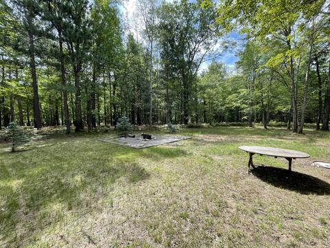 2627 Marlette Rd, Frederic, MI 49733 photo 34