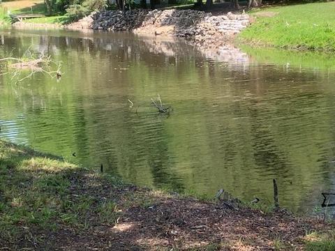 5440 Raymond Rd, Black River, MI 48721 photo 53