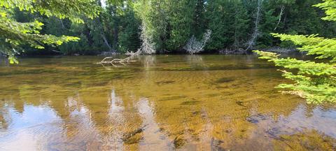 107 Black Bear Drive Grayling Mi 49738 Dr, Grayling, MI 49738 photo 27