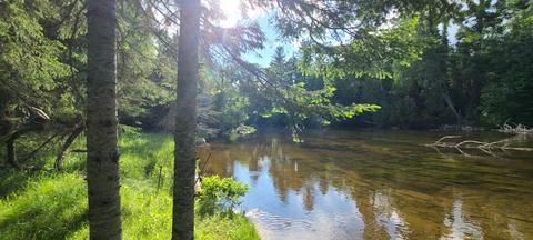 107 Black Bear Drive Grayling Mi 49738 Dr, Grayling, MI 49738 photo 28