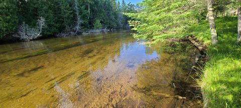 107 Black Bear Drive Grayling Mi 49738 Dr, Grayling, MI 49738 photo 30