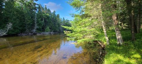 107 Black Bear Drive Grayling Mi 49738 Dr, Grayling, MI 49738 photo 29