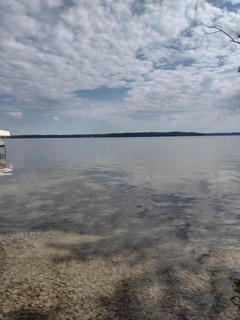 1715 Ellinger Rd, Alanson, MI 49706 photo 16