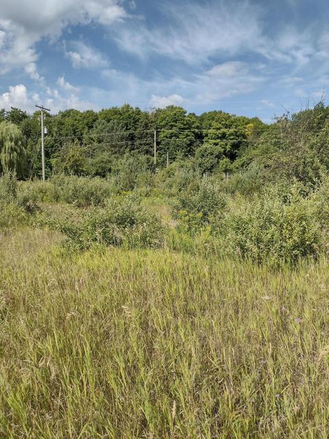 1715 Ellinger Rd, Alanson, MI 49706 photo 1