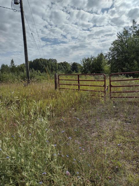 1715 Ellinger Rd, Alanson, MI 49706 photo 5