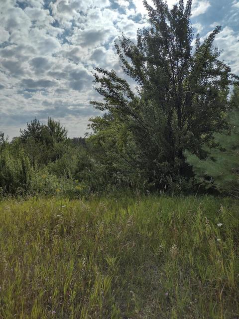 1715 Ellinger Rd, Alanson, MI 49706 photo 7