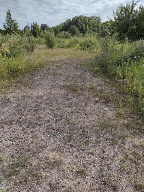 1715 Ellinger Rd, Alanson, MI 49706 photo 6
