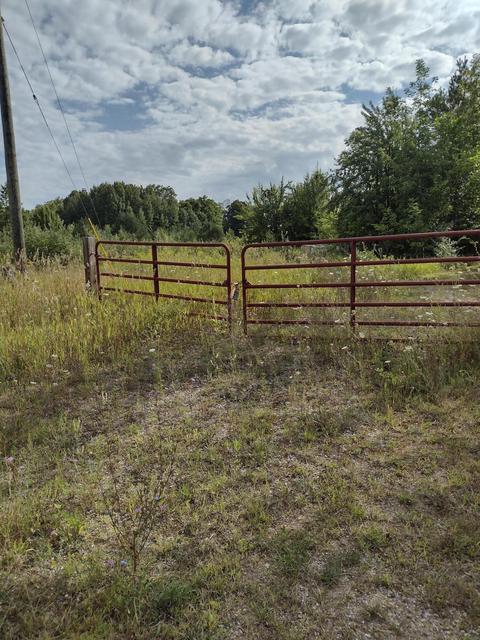 1715 Ellinger Rd, Alanson, MI 49706 photo 4