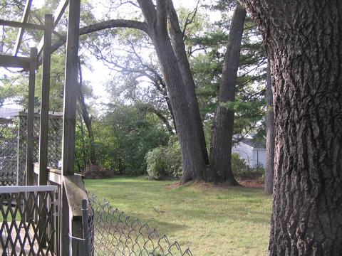 409 Plum St, Grayling, MI 49738 photo 6