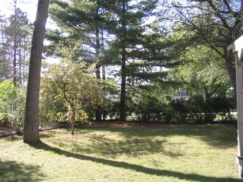 409 Plum St, Grayling, MI 49738 photo 7