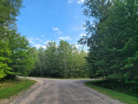 15 Fox Run Dr, Grayling, MI 49738 photo 3