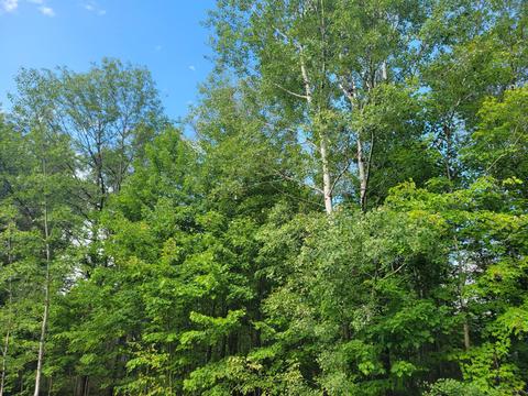 15 Fox Run Dr, Grayling, MI 49738 photo 7