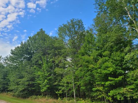 15 Fox Run Dr, Grayling, MI 49738 photo 6