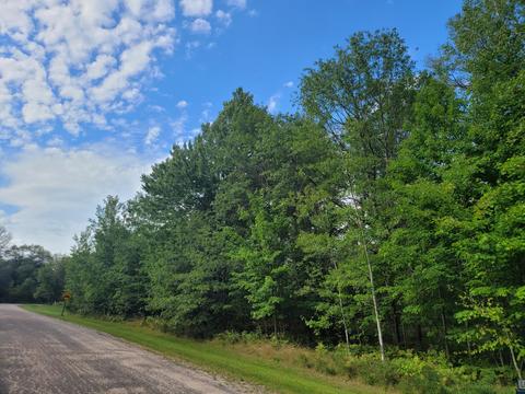 15 Fox Run Dr, Grayling, MI 49738 photo 5