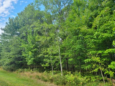 15 Fox Run Dr, Grayling, MI 49738 photo 1