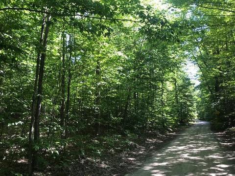 delaware trail, Gaylord, MI 49735