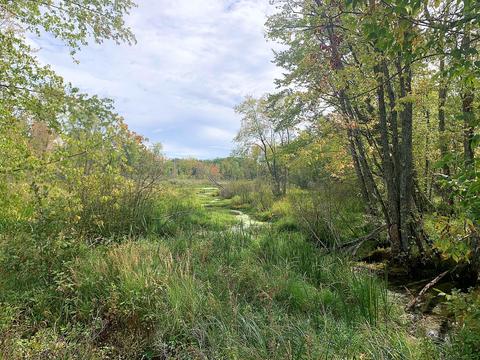 15131 Eagling Road Lachine Mi 49753 Rd, Lachine, MI 49753 photo 24
