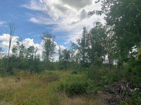 15131 Eagling Road Lachine Mi 49753 Rd, Lachine, MI 49753 photo 9