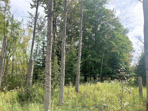15131 Eagling Road Lachine Mi 49753 Rd, Lachine, MI 49753 photo 25