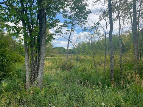 15131 Eagling Road Lachine Mi 49753 Rd, Lachine, MI 49753 photo 12