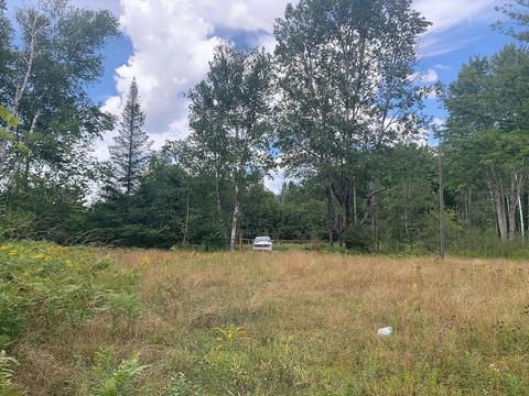 15131 Eagling Road Lachine Mi 49753 Rd, Lachine, MI 49753 photo 10