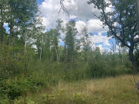 15131 Eagling Road Lachine Mi 49753 Rd, Lachine, MI 49753 photo 11
