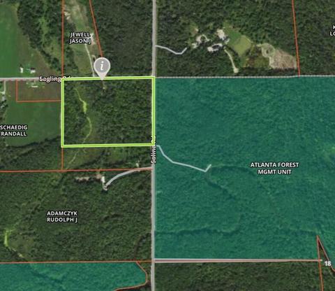 15131 Eagling Road Lachine Mi 49753 Rd, Lachine, MI 49753 photo 2