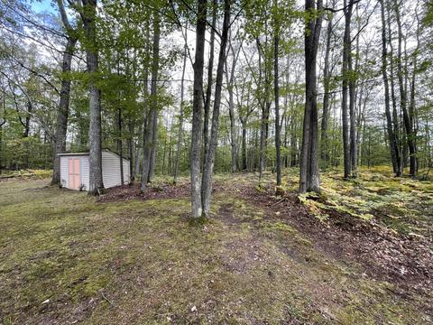 11791 Huntingdon Drive Frederic Mi 49733 Dr, Frederic, MI 49733 photo 24