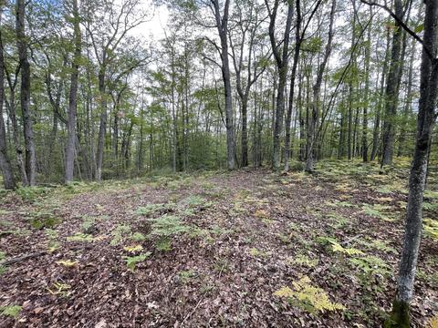 11791 Huntingdon Drive Frederic Mi 49733 Dr, Frederic, MI 49733 photo 26
