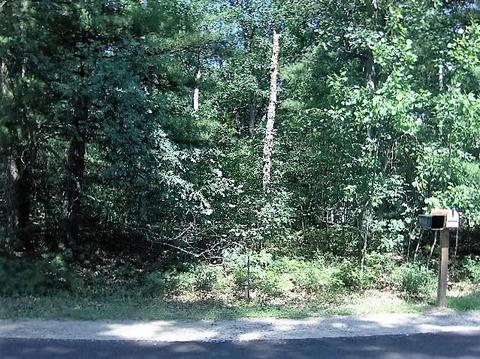 466 467 Goldenrod Dr, Houghton Lake, MI 48629