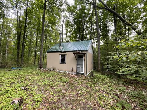 tbd N Watkins Drive 1008acres Frederic Mi 49733 Dr #10.08ACRES, Frederic, MI 49733 photo 11