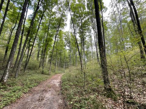 tbd N Watkins Drive 1008acres Frederic Mi 49733 Dr #10.08ACRES, Frederic, MI 49733 photo 5