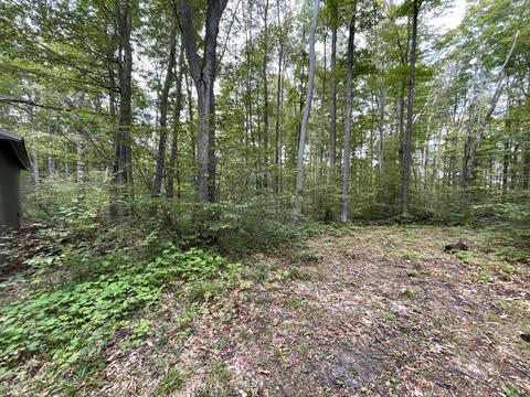 tbd N Watkins Drive 1008acres Frederic Mi 49733 Dr #10.08ACRES, Frederic, MI 49733 photo 8