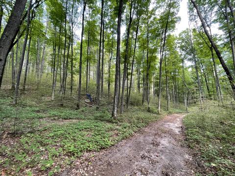tbd N Watkins Drive 1008acres Frederic Mi 49733 Dr #10.08ACRES, Frederic, MI 49733 photo 31