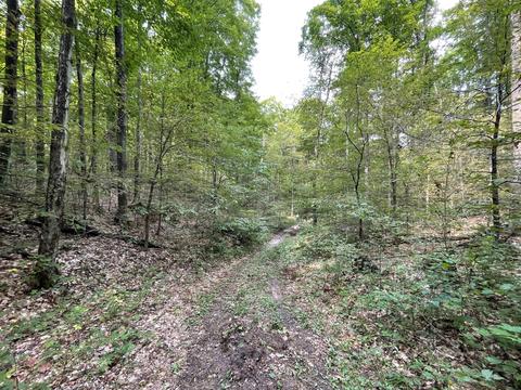 tbd N Watkins Drive 1008acres Frederic Mi 49733 Dr #10.08ACRES, Frederic, MI 49733 photo 25