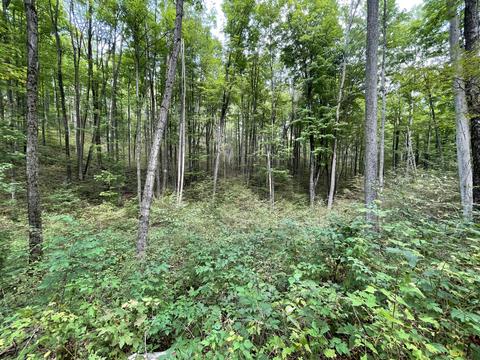 tbd N Watkins Drive 1008acres Frederic Mi 49733 Dr #10.08ACRES, Frederic, MI 49733 photo 32