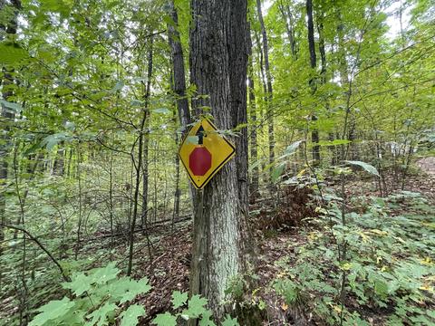 tbd N Watkins Drive 1008acres Frederic Mi 49733 Dr #10.08ACRES, Frederic, MI 49733 photo 35
