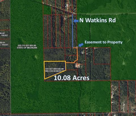 tbd N Watkins Drive 1008acres Frederic Mi 49733 Dr #10.08ACRES, Frederic, MI 49733 photo 2